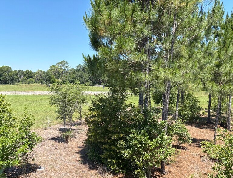 More Photos Of 0 Greenbriar Rd, Lakeland Land For Sale