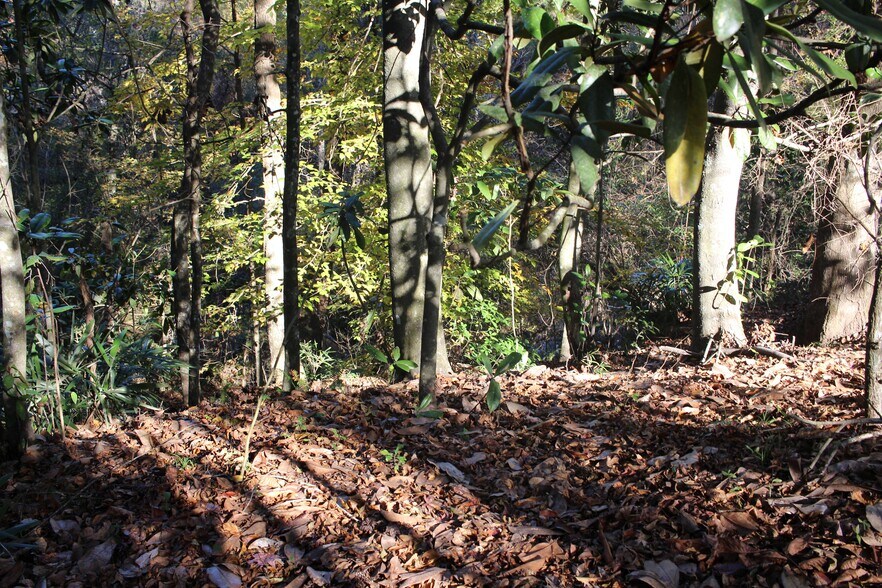 More Photos Of 4433 Pat Thomas Pky, Quincy Land For Sale