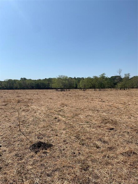 More Photos Of TBD League Rd, Rockwall Land For Sale