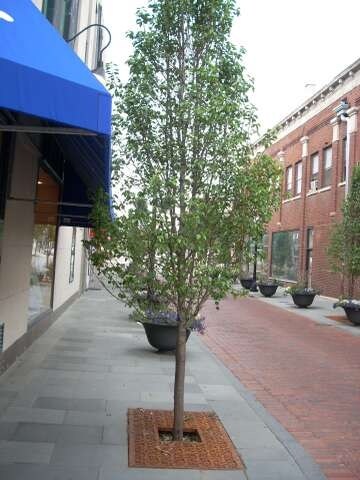 More Photos Of 1103-1109 Westgate St, Oak Park Storefront Retail Office For Lease