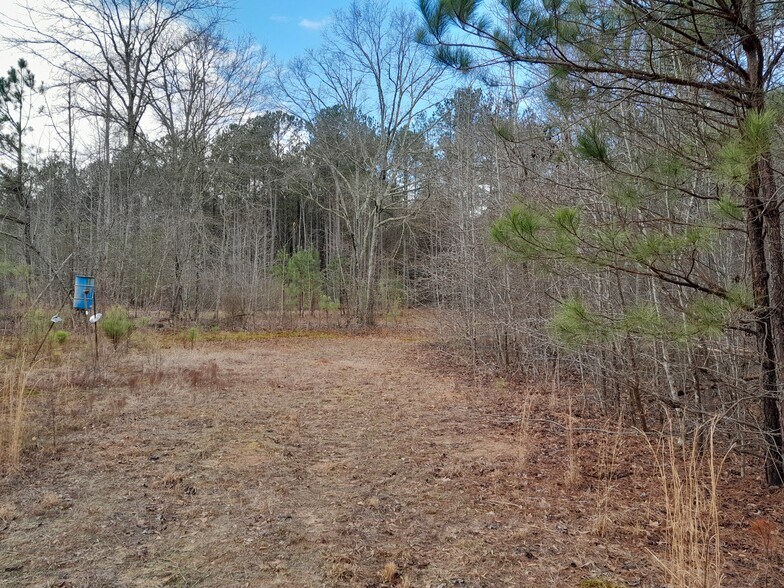 More Photos Of Lester Mill @ Frog RD, Locust Grove Land For Sale