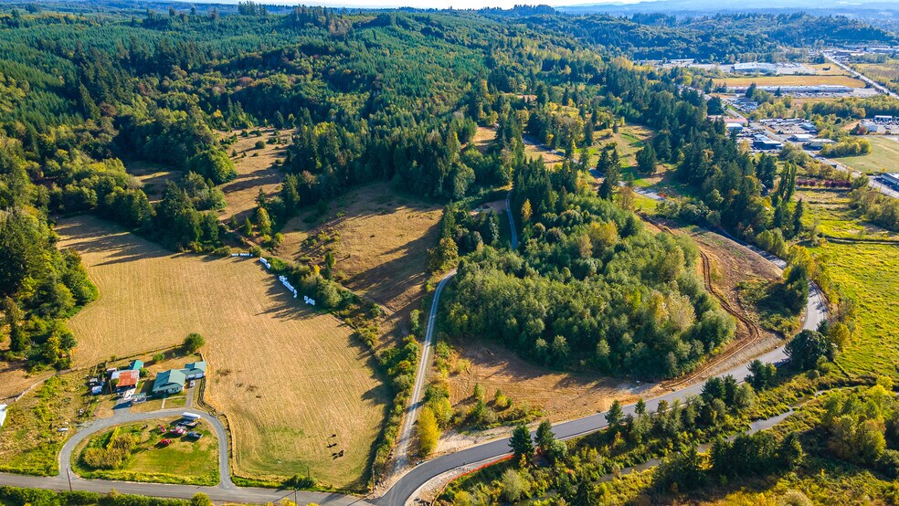 Primary Photo Of 0 Salzer Creek (was Fair St), Centralia Land For Sale