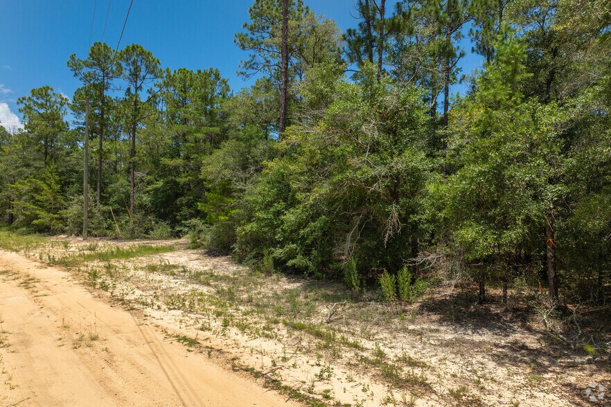 More Photos Of , Defuniak Springs Land For Sale