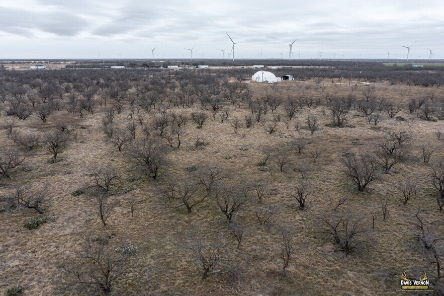 More Photos Of 10737 Interstate 20 W, Clyde Land For Sale