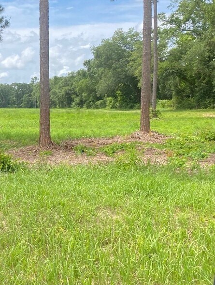 More Photos Of County Rd 24, Foley Land For Sale