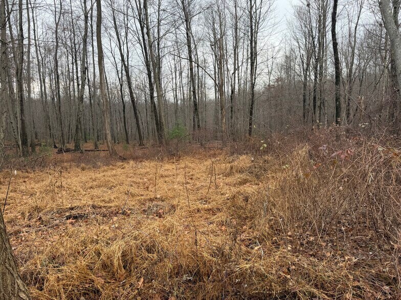 More Photos Of 312 Merrow Rd, Tolland Land For Sale