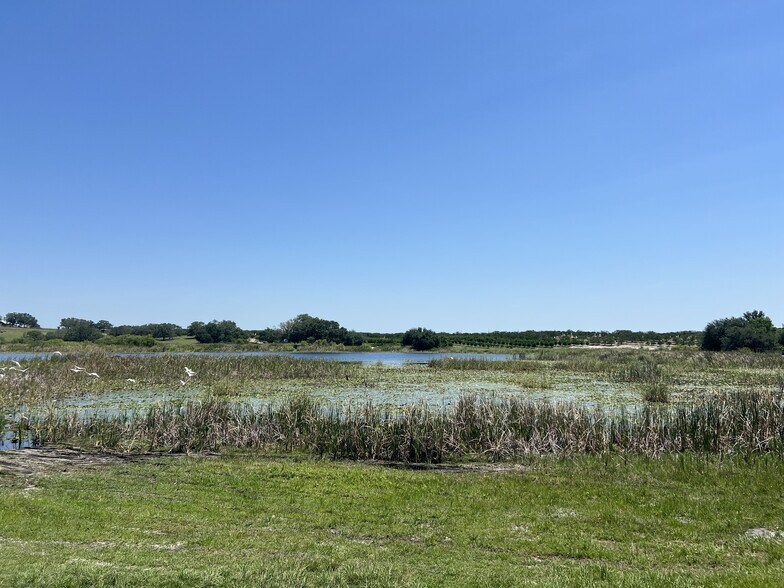 More Photos Of Lake Marie Dr, Dundee Land For Sale