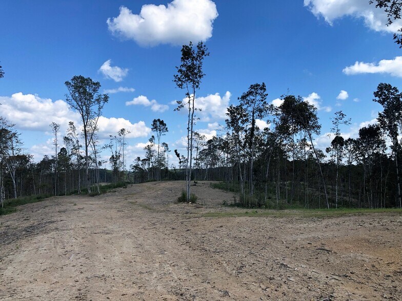 More Photos Of 1037 Fairview Blvd, Fairview Land For Sale