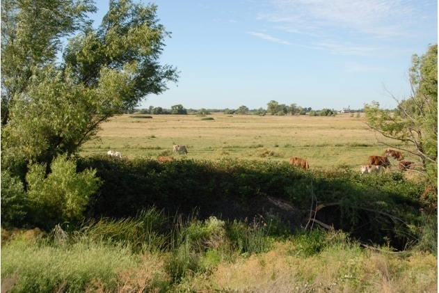 More Photos Of Holland Tract Rd, Knightsen Land For Sale