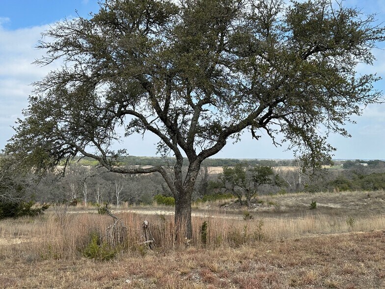 More Photos Of 1900 County Road 284, Liberty Hill Land For Sale
