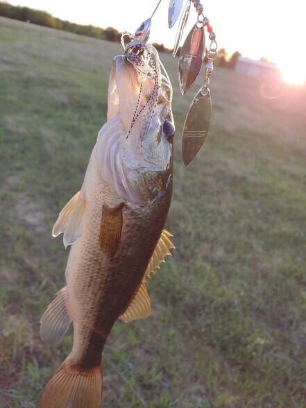 More Photos Of 1522 Burney Cemetary Rd, Calera Lodge Meeting Hall For Sale