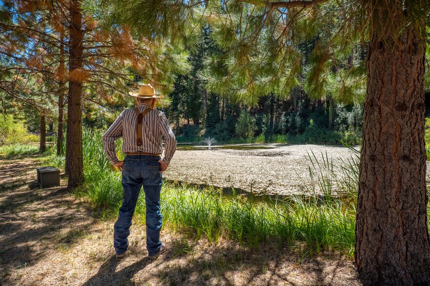 More Photos Of 985 Whitehawk Dr, Clio Hotel For Sale