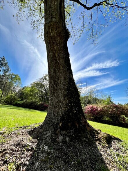 More Photos Of 85 Carmel Church Rd, Natchez Religious Facility For Sale