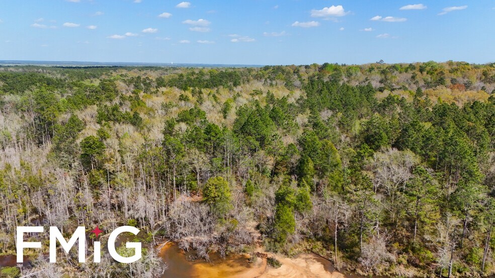 More Photos Of 800 McKenzie Rd, Cantonment Land For Sale