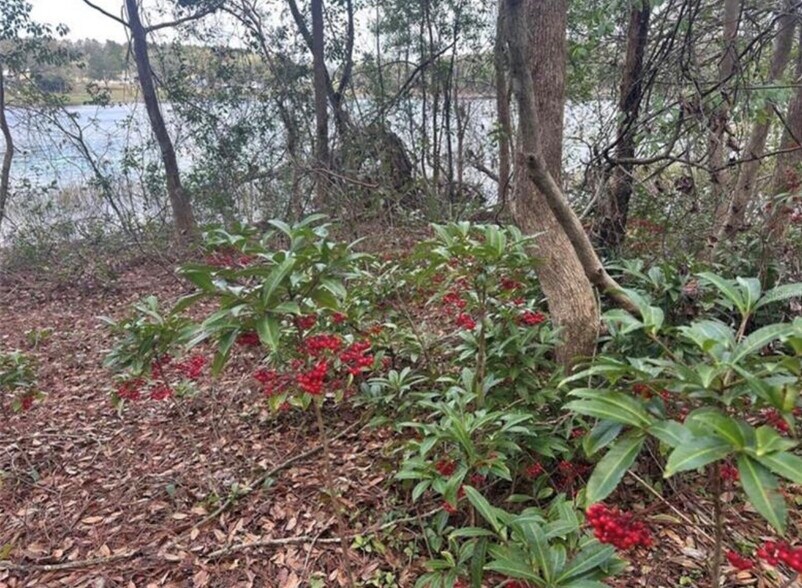 More Photos Of 0 Lake Hiawatha Drive, Lady Lake Land For Sale