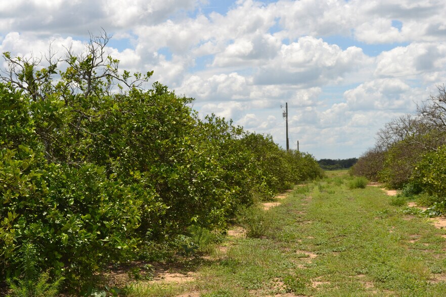 Tower Road Grove and Home Site, Babson Park, FL 33827 Land