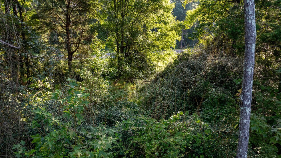More Photos Of 62 Turin Rd, Senoia Land For Sale