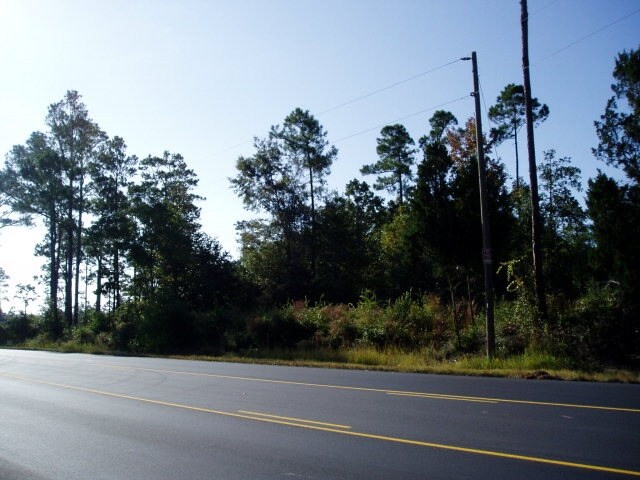 More Photos Of US Highway 98, Lillian Land For Sale
