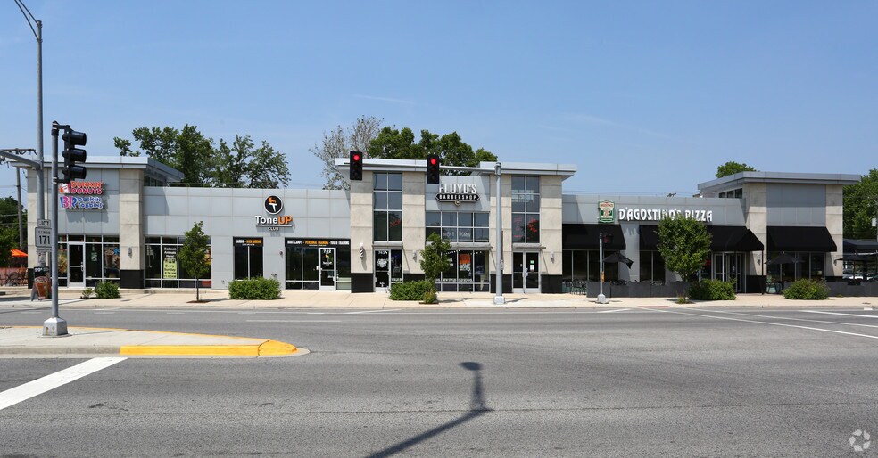 More Photos Of 742 W Higgins Rd, Park Ridge Freestanding For Lease