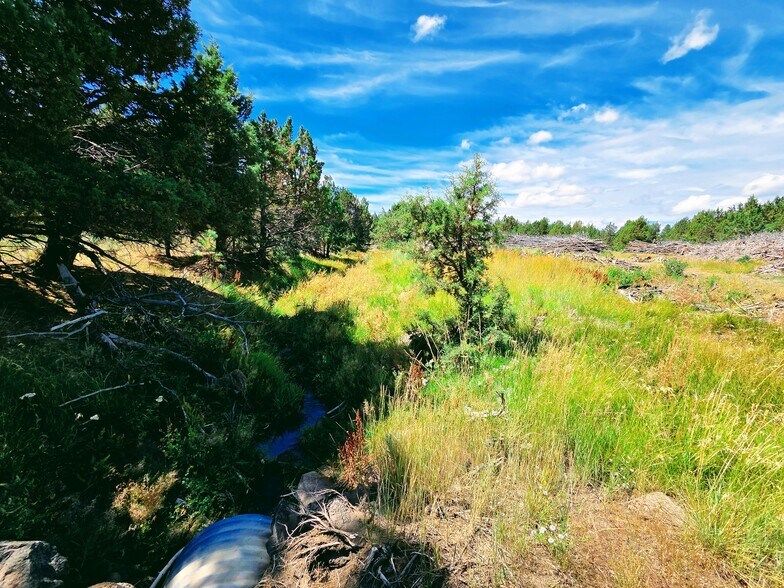 More Photos Of 32611 Tackman Rd, Prineville Land For Sale
