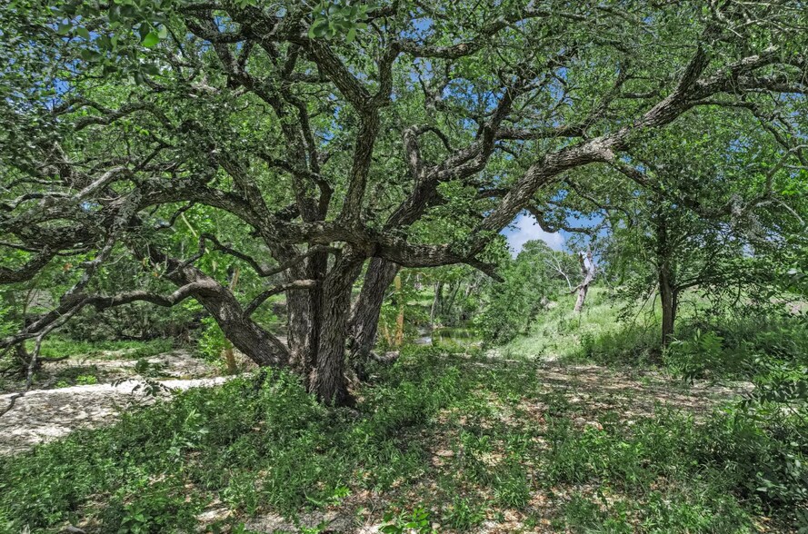 More Photos Of 5150 County Road 254, Bertram Land For Sale