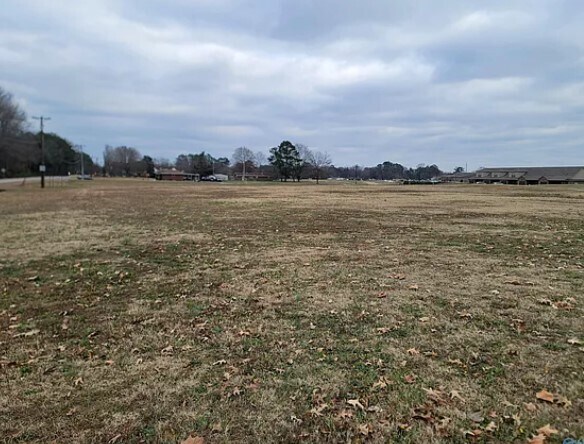 More Photos Of 16296 Lucas Ferry Rd, Athens Land For Sale