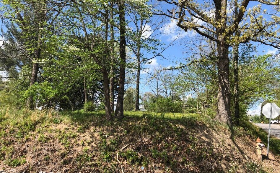 More Photos Of 742 2nd, Blue Ridge Land For Sale