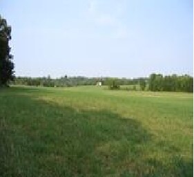 More Photos Of 15400 Normans Ln, Culpeper Land For Sale