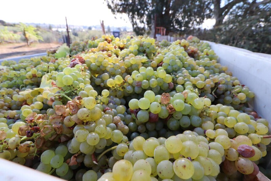 More Photos Of 211 Smith Rd, Watsonville Land For Sale