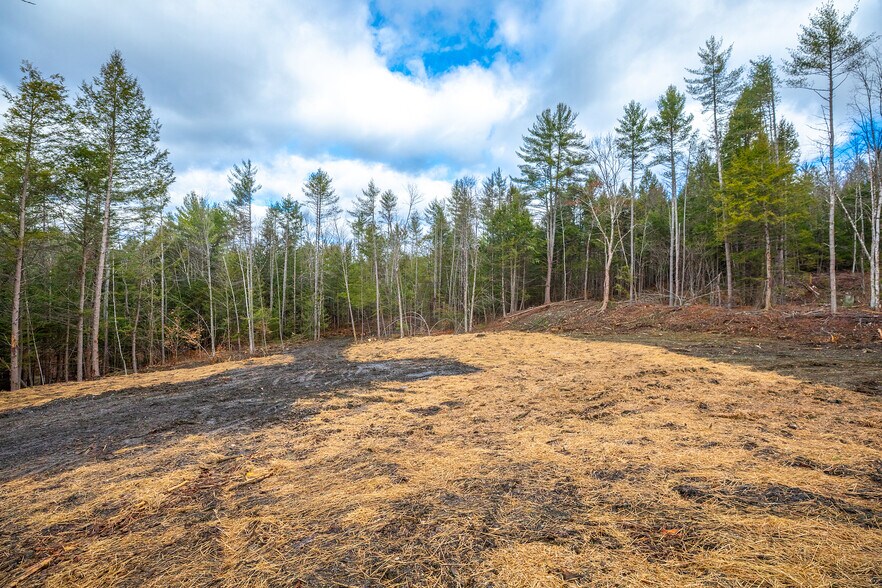 More Photos Of 40 E Putney Brook Rd, Putney Land For Sale