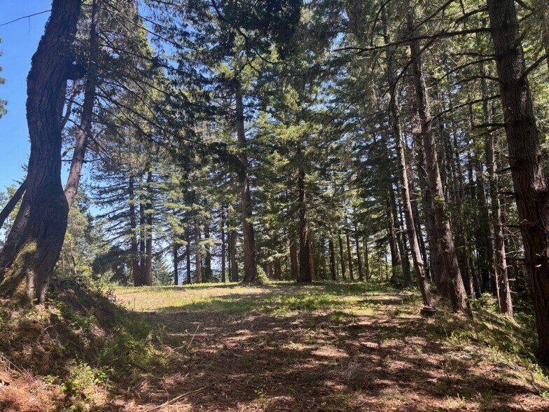 More Photos Of 21380 Siri rd, Guerneville Land For Sale