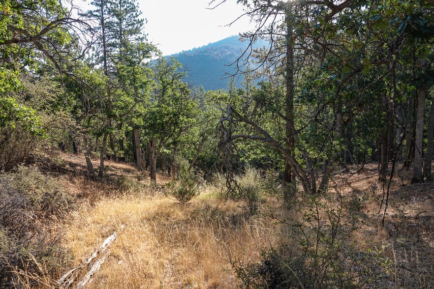 More Photos Of 0 East Rd, Fort Jones Land For Sale