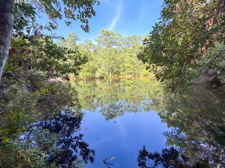 More Photos Of 3.39 Acres, FM 787, Saratoga Land For Sale