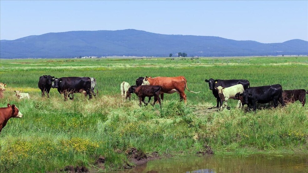 More Photos Of 0000 Punkin Center Road, Bieber Land For Sale