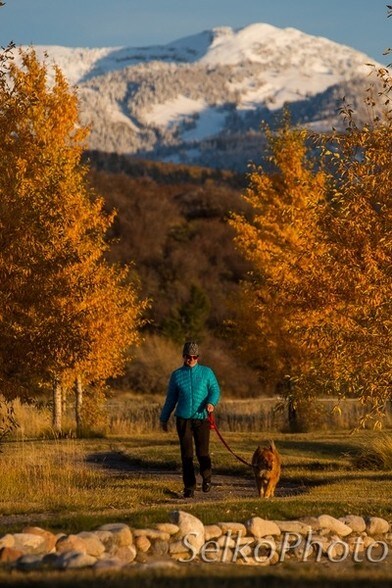 More Photos Of 9130 Village Way, Victor Land For Sale