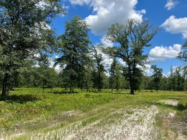 More Photos Of 400 Chula Brookfield Rd, Chula Land For Sale