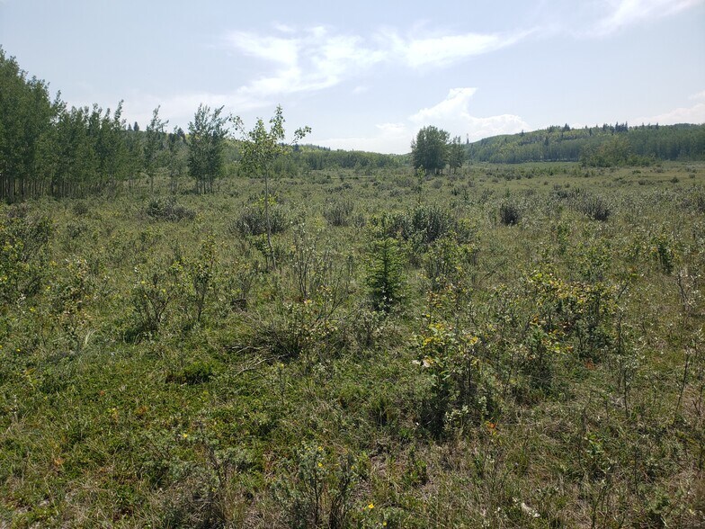 More Photos Of 2 Bow River, Rocky View No 44 Land For Sale