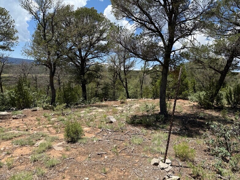 More Photos Of 44 Forest 321 Rd, Estancia Land For Sale