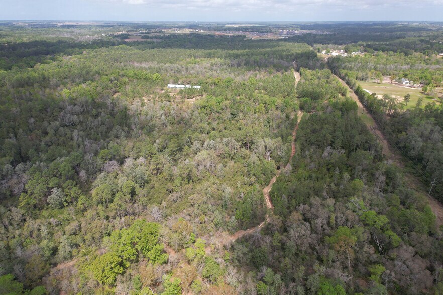 More Photos Of 12960 County Road 48, Silverhill Land For Sale