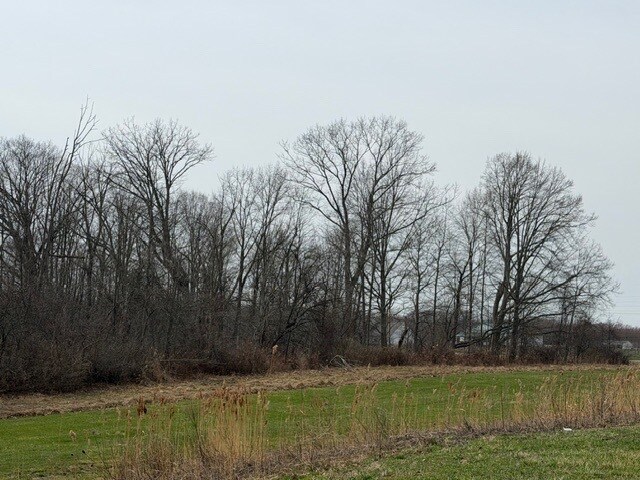 More Photos Of Approx. 4593 S Madison Rd, Madison Land For Sale