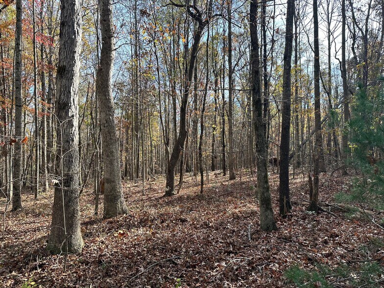 Primary Photo Of 0 Hollywood Hwy, Clarkesville Land For Sale