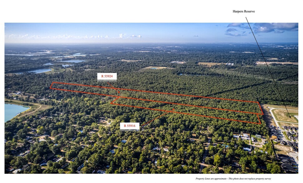 Primary Photo Of 53.8 Acres off Hwy 242, Conroe Land For Sale