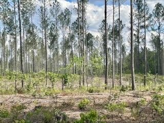 More Photos Of TBD Courthouse Rd, Sutherland Land For Sale