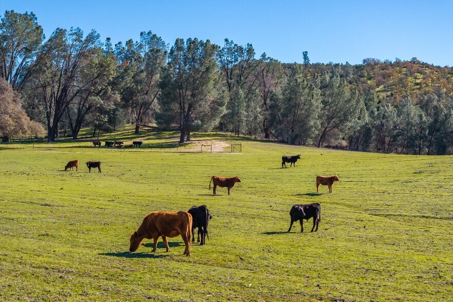 More Photos Of 535 Calf Canyon Hwy, Creston Winery Vineyard For Sale