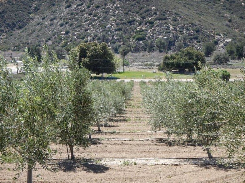 More Photos Of 0 San Felipe Rd, Warner Springs Land For Sale