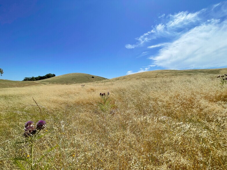 More Photos Of 0 E. 41 Hwy, Templeton Land For Sale