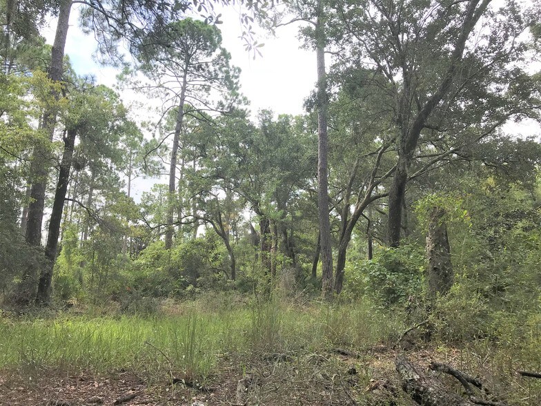 More Photos Of 6822 Hilliard St, Southport Land For Sale