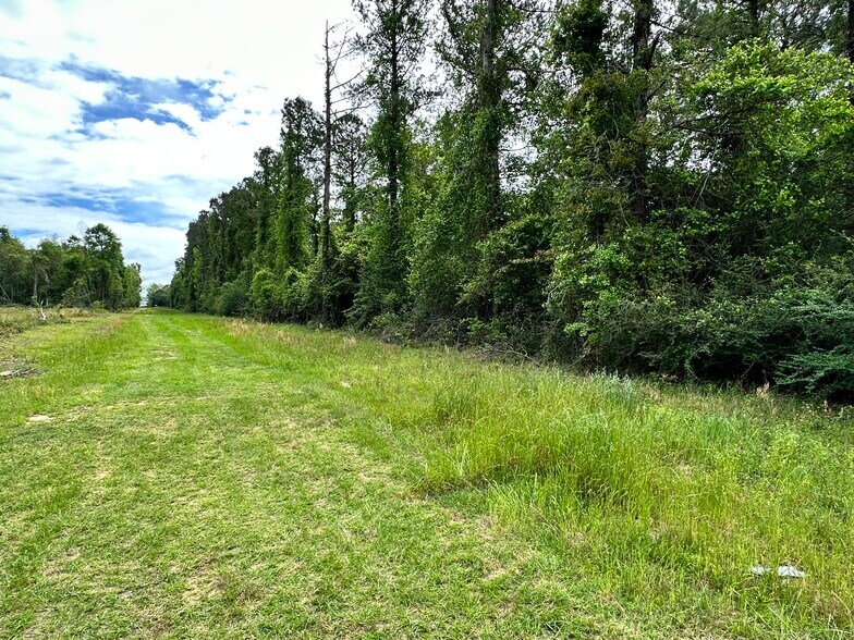 More Photos Of 0 Wilmer, Wilmer Land For Sale