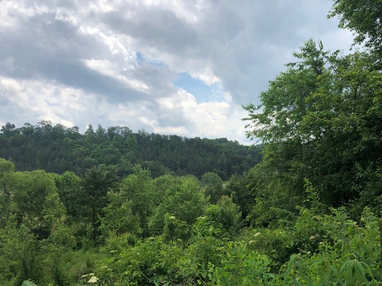 More Photos Of Blackhawk Dr, Blue Ridge Land For Sale