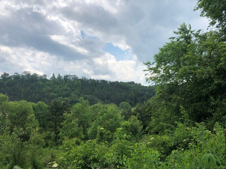 More Photos Of Ridgewood Dr, Blue Ridge Land For Sale
